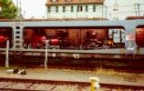 Et oui, des b�canes qui prennent le train...